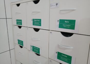 Reserva em Goiás tem banco de sementes para recuperação do Cerrado