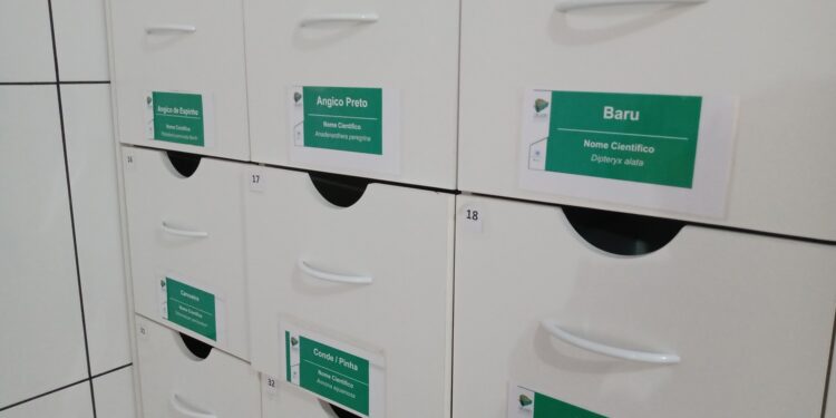 Reserva em Goiás tem banco de sementes para recuperação do Cerrado