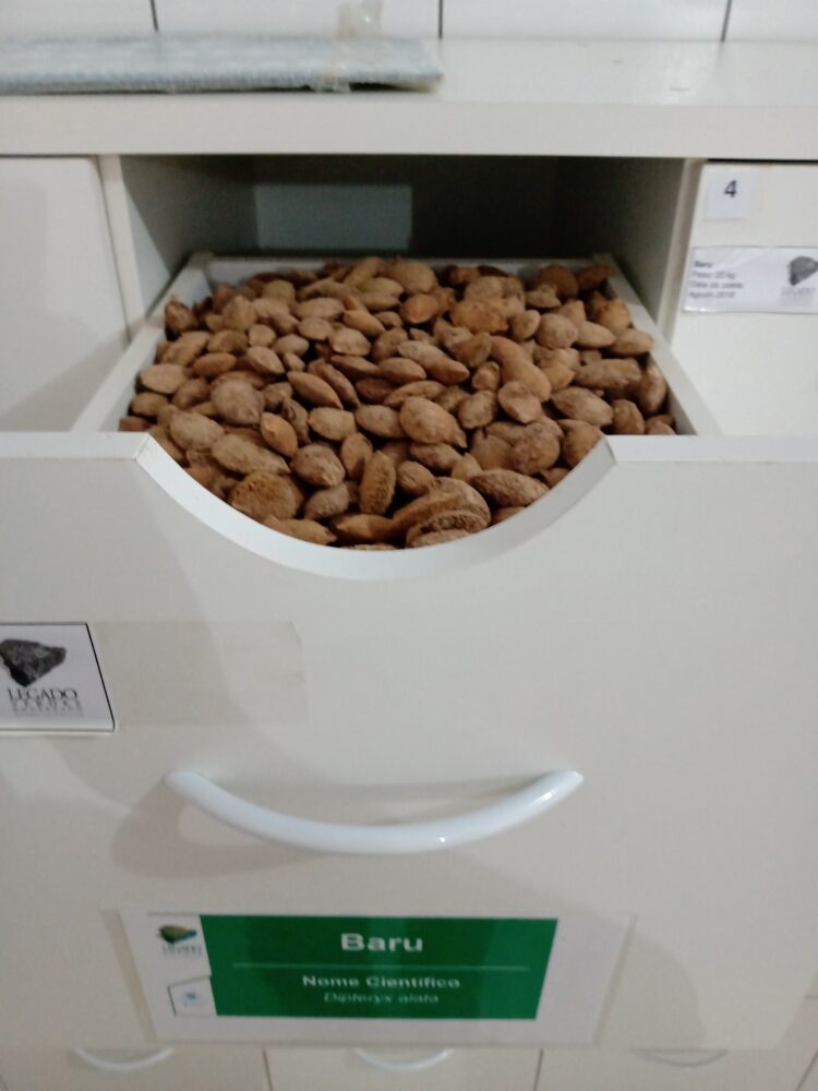 Reserva em Goiás tem banco de sementes para recuperação do Cerrado