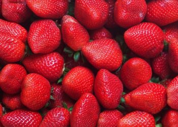 Festa do Morango de Brasília será em formato virtual