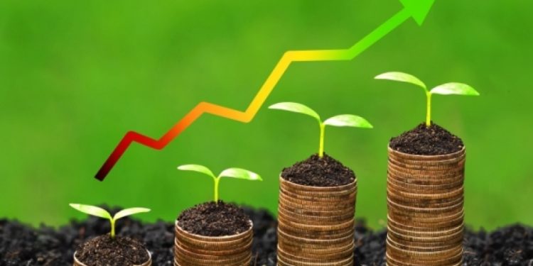 Os gigantes digitais e o novo cenário dos insumos agrícolas