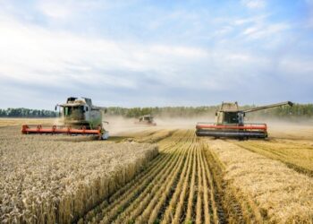 Agronegócio acelera retomada nas vendas de veículos em Mato Grosso