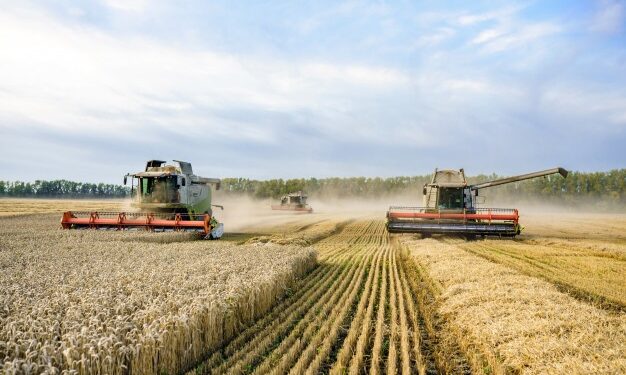 Agronegócio acelera retomada nas vendas de veículos em Mato Grosso