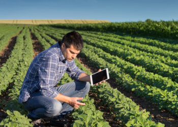 Araguaína, Gurupi e Araguatins terão polos da Faculdade do Agronegócio