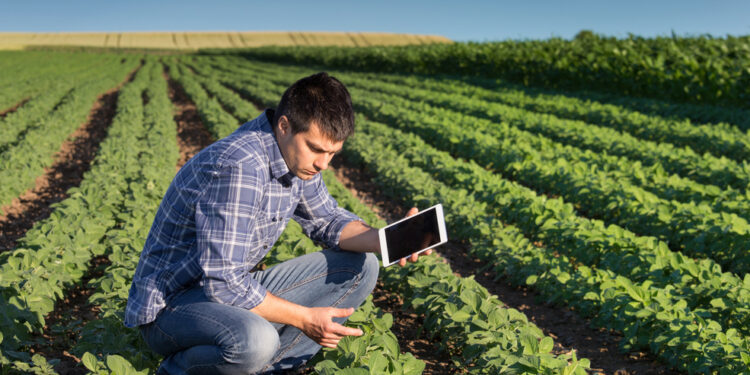 Araguaína, Gurupi e Araguatins terão polos da Faculdade do Agronegócio