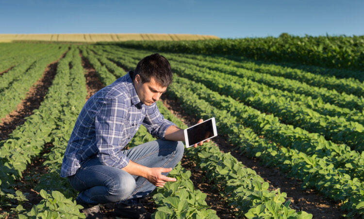 Araguaína, Gurupi e Araguatins terão polos da Faculdade do Agronegócio