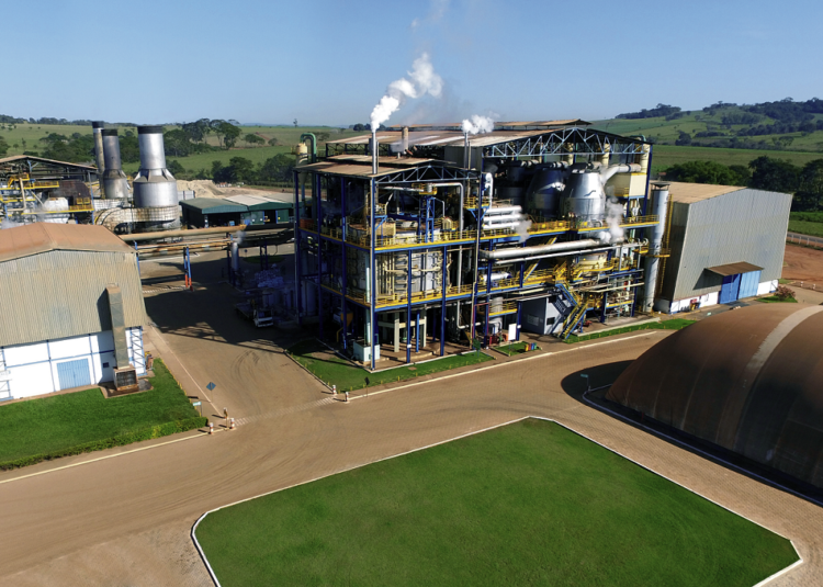 CRV Industrial bate recorde de produção de açúcar