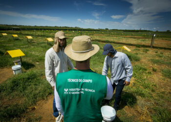 Senar Goiás amplia Assistência Técnica e Gerencial