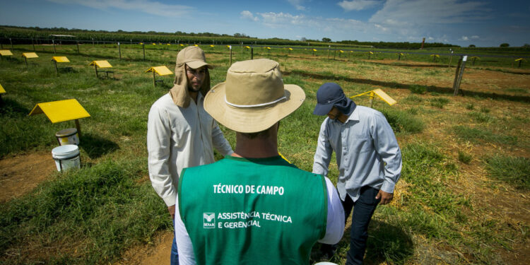 Senar Goiás amplia Assistência Técnica e Gerencial