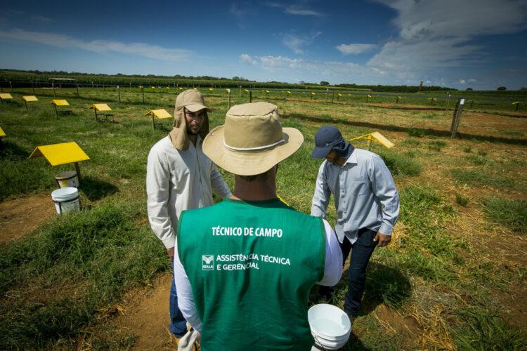 Senar Goiás amplia Assistência Técnica e Gerencial