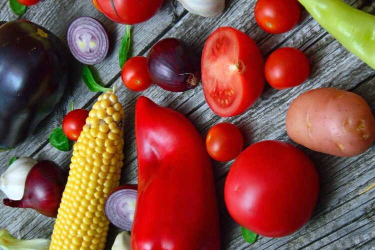 MT: Empaer comemora 56 anos de trabalhos voltados ao desenvolvimento da agricultura