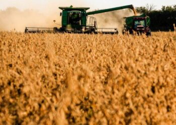 Exportações de soja crescem 58,6% entre janeiro a agosto em MS