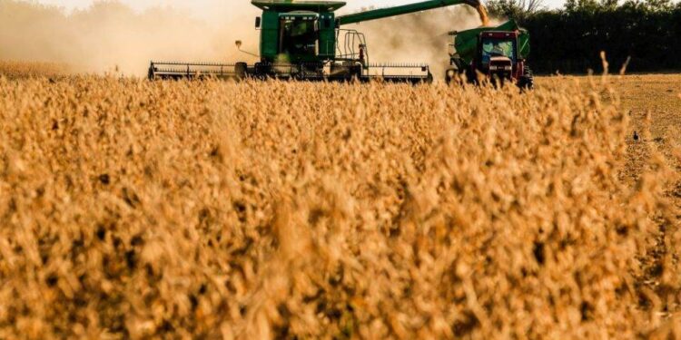 Exportações de soja crescem 58,6% entre janeiro a agosto em MS