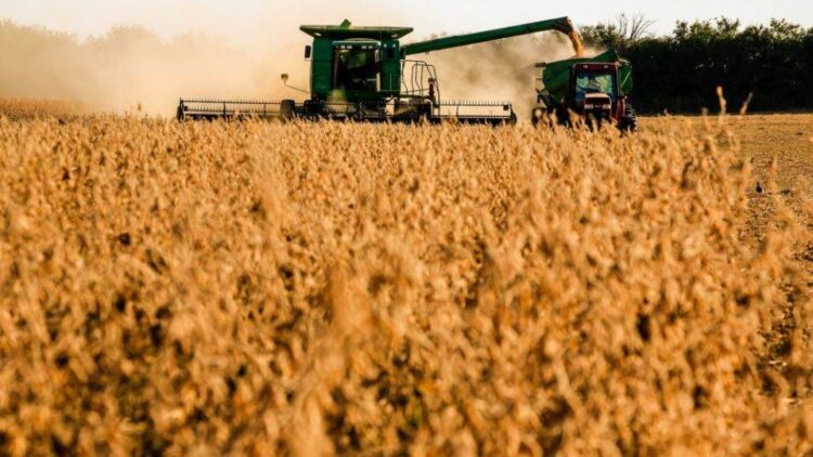 Exportações de soja crescem 58,6% entre janeiro a agosto em MS