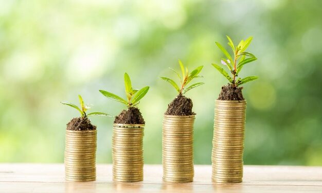 FCO Rural: Investimentos de R$129,4 milhões vão gerar 484 empregos em MT