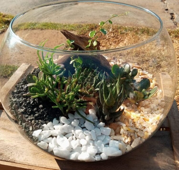 Exposição itinerante apoia pequenos negócios goianos