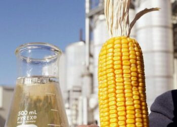 Mato Grosso do Sul vai ganhar fábrica de etanol de milho