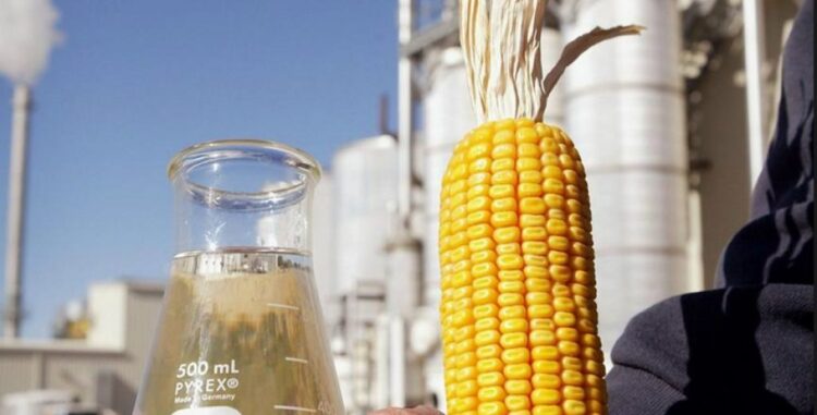 Mato Grosso do Sul vai ganhar fábrica de etanol de milho