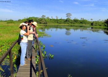 Turismo rural é tendência para atender novo perfil de viajante