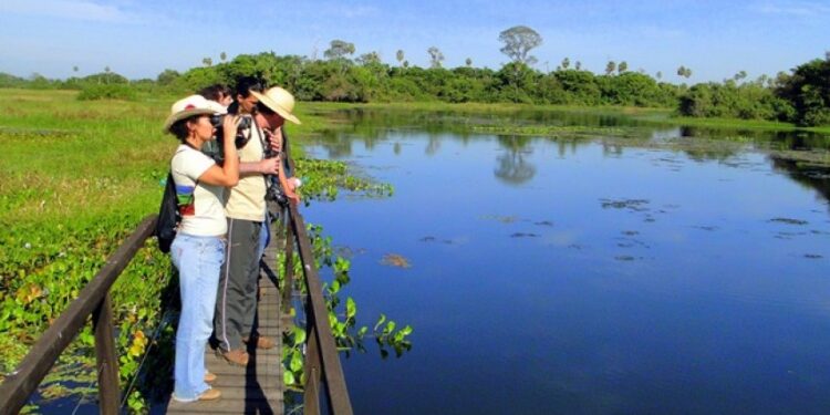 Turismo rural é tendência para atender novo perfil de viajante