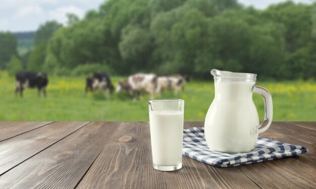 MT: durante período de seca, produção de leite tem queda de 5%