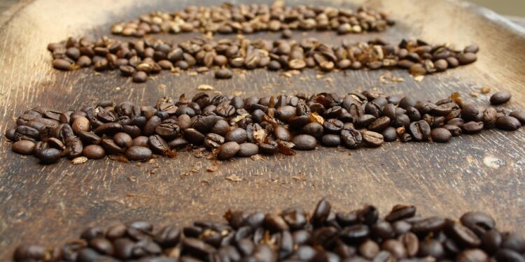Cafeicultores de Mato Grosso buscam capacitação para melhorar resultados