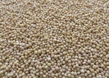 Exportações de MS somaram US$4,6 bilhões em setembro