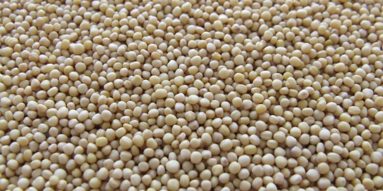 Exportações de MS somaram US$4,6 bilhões em setembro