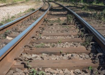 Ferrovia de Integração Centro-Oeste tem licença concedida pelo Ibama