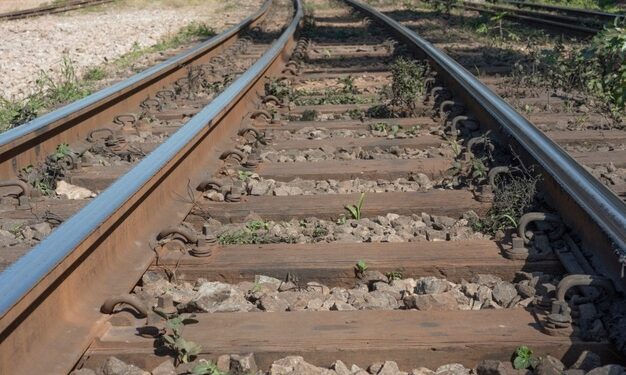 Ferrovia de Integração Centro-Oeste tem licença concedida pelo Ibama