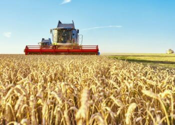 Mato Grosso tem 22 cidades entre as 50 que mais produzem no Brasil