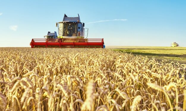 Mato Grosso tem 22 cidades entre as 50 que mais produzem no Brasil