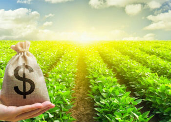 O produtor rural e sua recuperação na visão do STJ