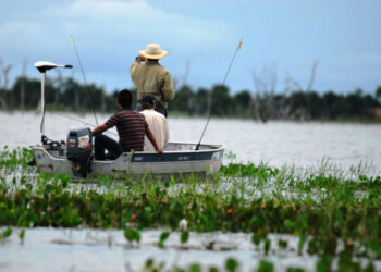Período da piracema começa dia 1º de novembro no Tocantins