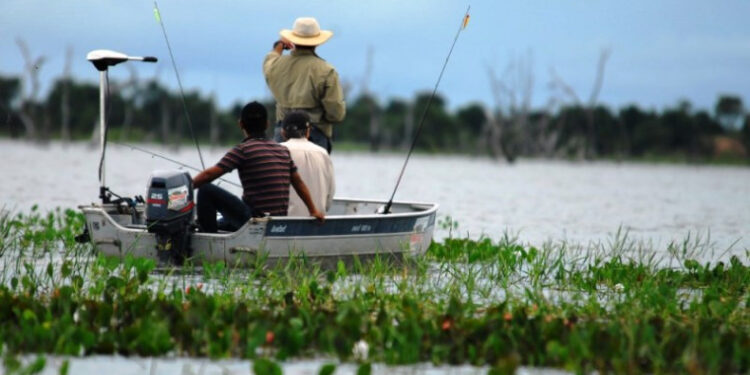 Período da piracema começa dia 1º de novembro no Tocantins