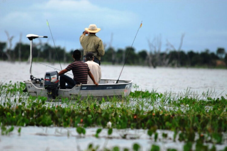 Período da piracema começa dia 1º de novembro no Tocantins