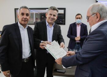 Primeira fábrica de celulose de MT recebe licença de instalação