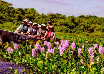 Rodada de negócios aproxima trade turístico em MT