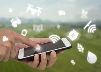 Sebrae Tocantins realiza Semana Tecnológica durante Expoara Digital