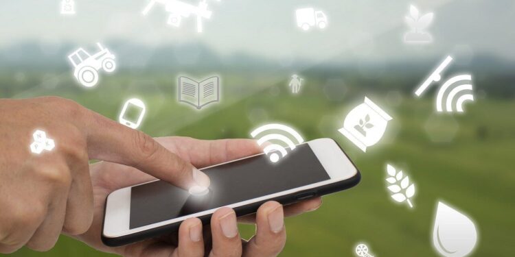 Sebrae Tocantins realiza Semana Tecnológica durante Expoara Digital