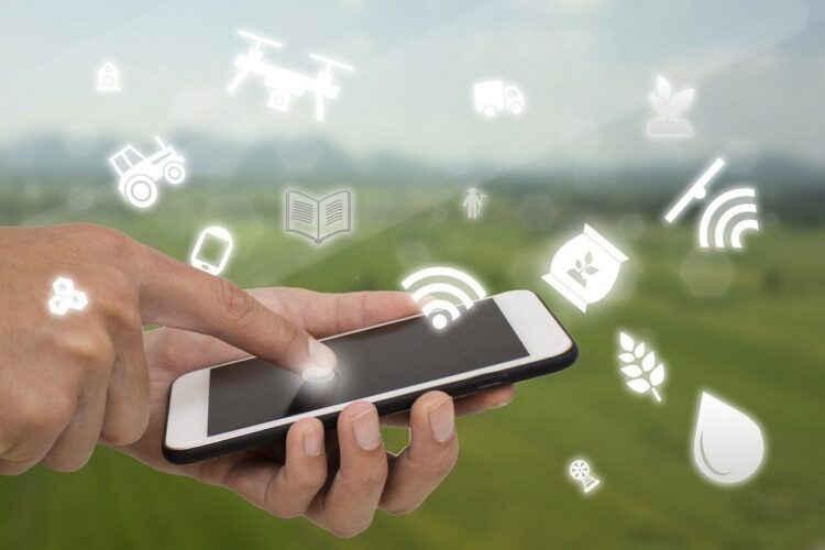 Sebrae Tocantins realiza Semana Tecnológica durante Expoara Digital