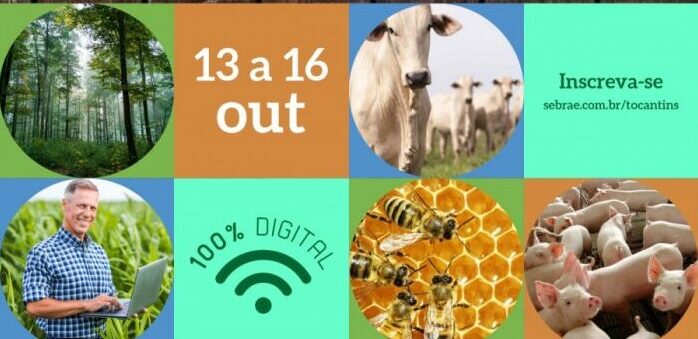 Sebrae Tocantins realiza Semana Tecnológica durante Expoara Digital