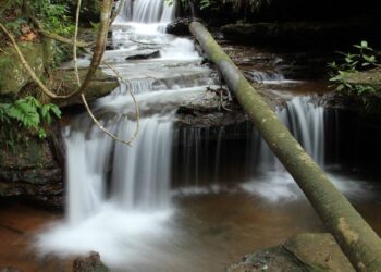 Sebrae reforça ações para retomada do setor turístico no Tocantins
