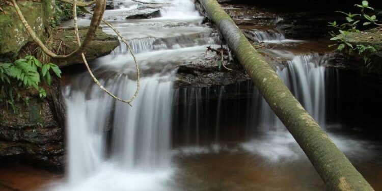 Sebrae reforça ações para retomada do setor turístico no Tocantins