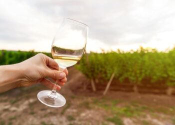 Sistema permitirá cadastro e análise de dados de viticultores e vitivinicultores