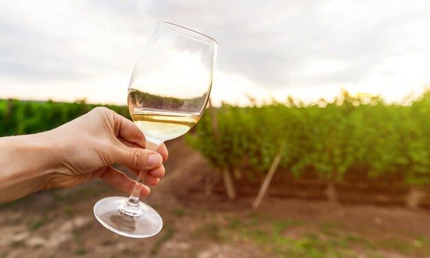 Sistema permitirá cadastro e análise de dados de viticultores e vitivinicultores