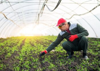 Tocantins: FAET e grupo MB Agroanálise fecham parceria para atender produtores rurais