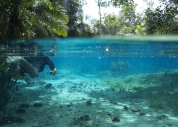 Turismo de Mato Grosso do Sul conquista selo Safe Travels