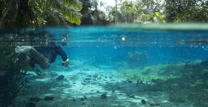 Turismo de Mato Grosso do Sul conquista selo Safe Travels