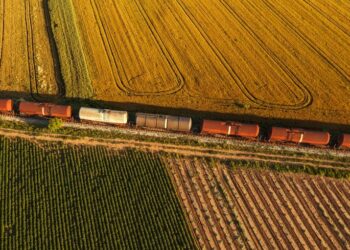 ‘Ferrogrão será balizadora do frete em MT’, avalia Movimento Pró-Logística